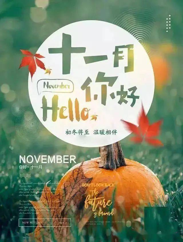 十月再见十一月你好说说句子 10月再见11月你好唯美图片