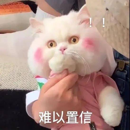 欧气|幸运来了千万不要嘚瑟，不然洗出七绝不修也不会让人快乐…