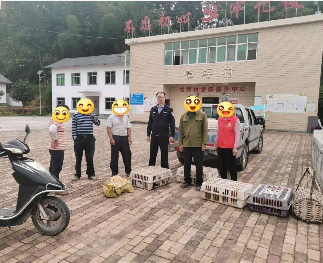 头条|寻乌民警追回100多只被盗土鸡,发还给受害群众,纷纷点赞!