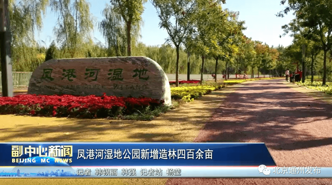 城市副中心又一大公园建成迎客设多个展区观赏区就在这个地