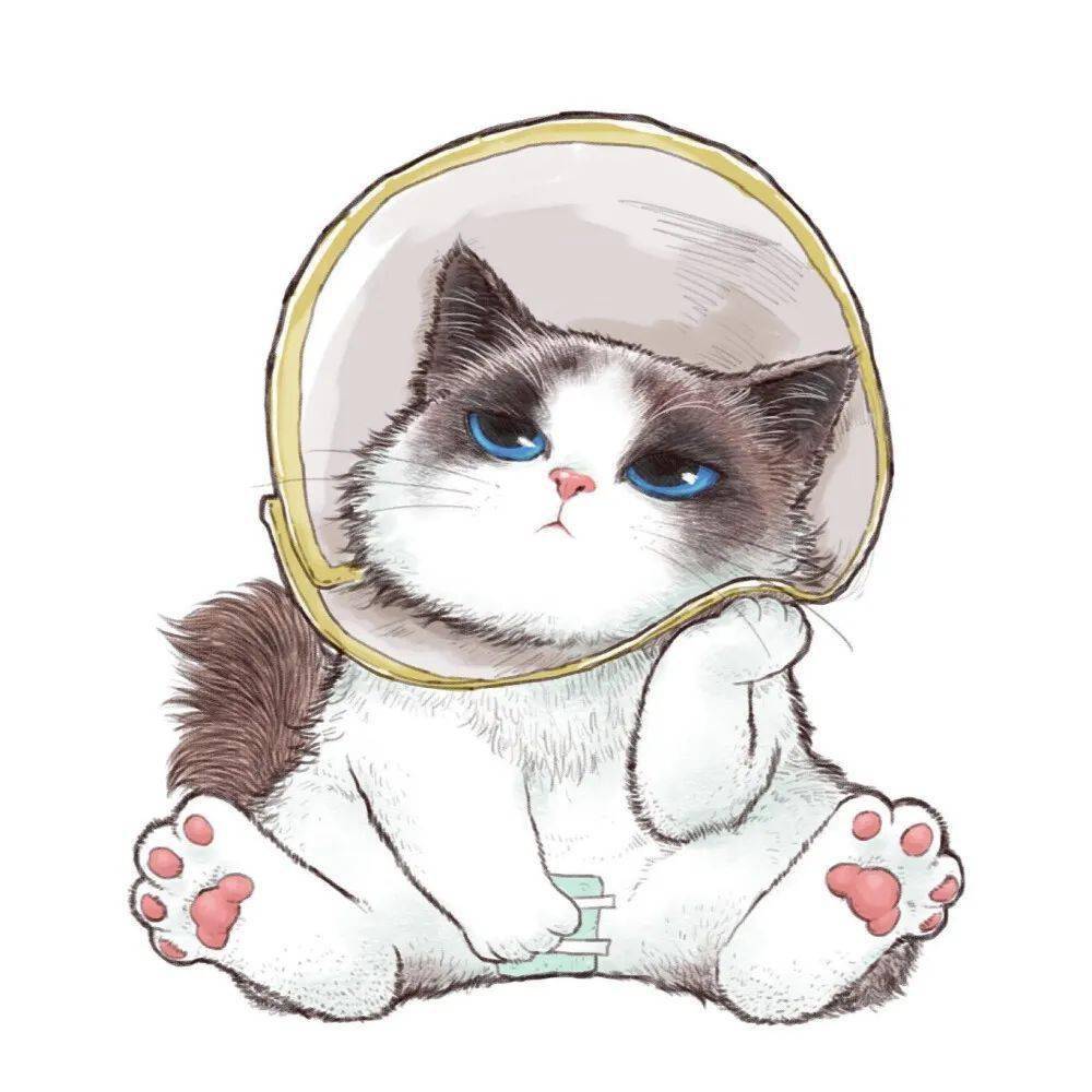 头像 我的心太乱