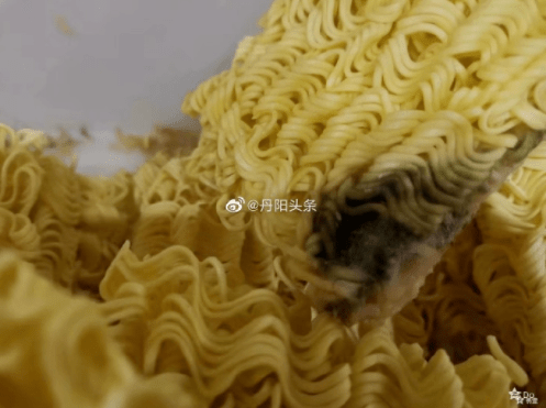 不允许点外卖镇江某地一学校食堂给孩子吃这些发霉长毛的食物