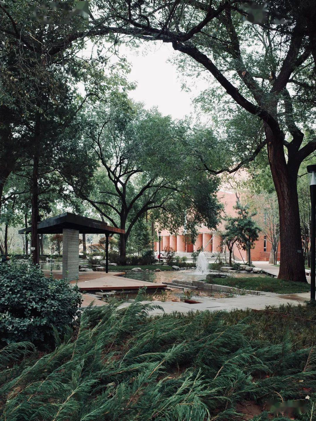 【手绘圈景观转绘纯享版】北京林业大学校园景观-森林