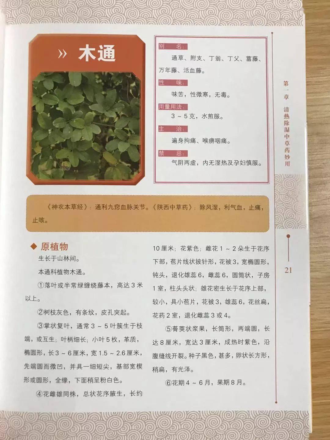 书是人类进步的阶梯是哪篇课文 a60cbb55c4a74d2fb6056fd5c39944c3.jpeg