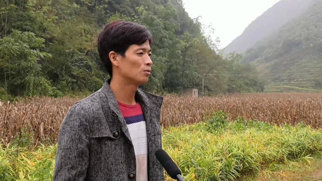 弘扬新时代西畴精神丨搬出大山挪穷窝展望幸福新生活