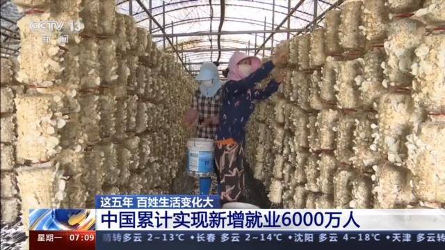 今年人口多少人_我今年15岁没多少毛(3)