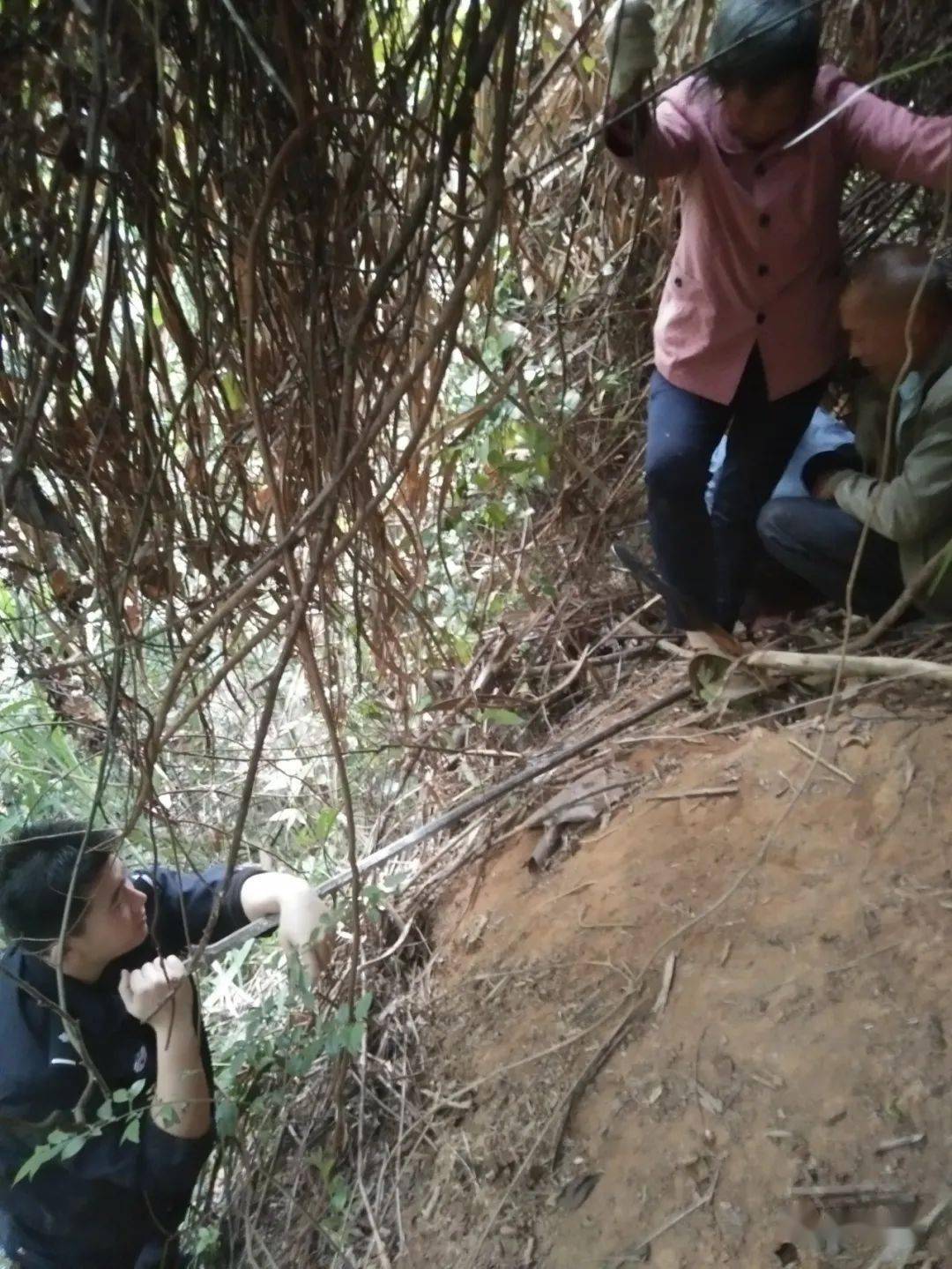 水源乡一老人脚被野猪夹困住 消防员破拆营救