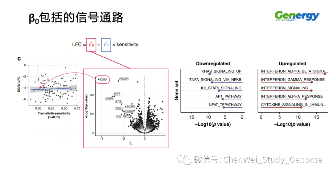 细胞疗理仪是什么原理_雾疗是什么