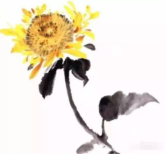 国画教程彩墨向日葵细节画法