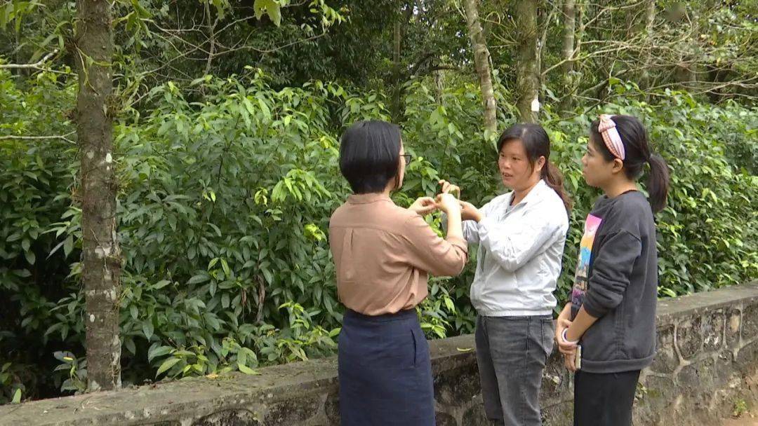 2020年海口龙华区GDP_深圳龙华区地图全图(2)