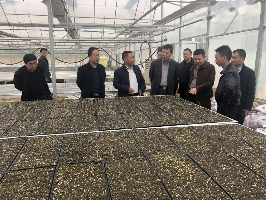 2020年潍坊各县市区g_2020潍坊风筝节图片