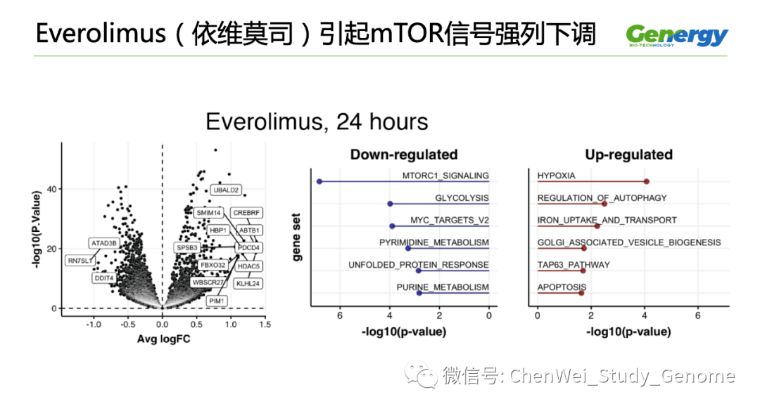 细胞疗理仪是什么原理_雾疗是什么