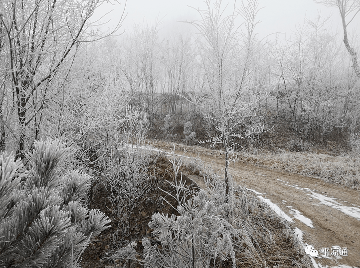 下雪了!平凉这些地方昨晚下雪了