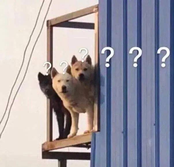 陈坤|不是吧,“不老男神”陈坤的颜值现在连李佳琦都比不过了??