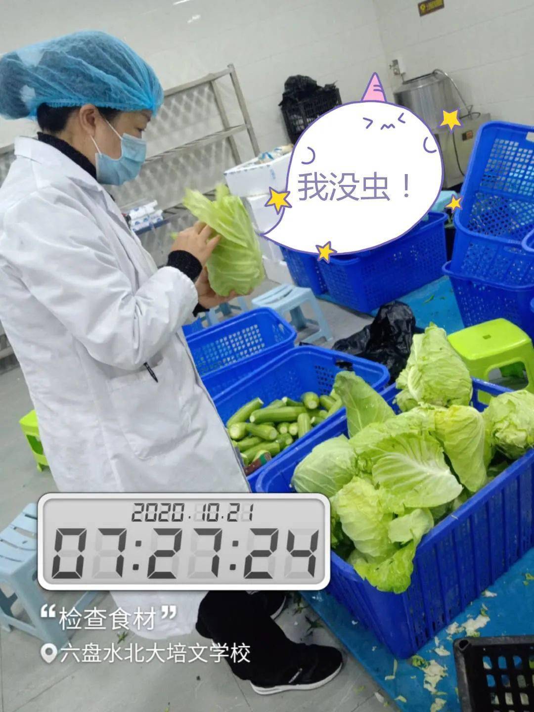 食材验收标准:供应商必须按卫生和技术监督规定,及时提供原材料和