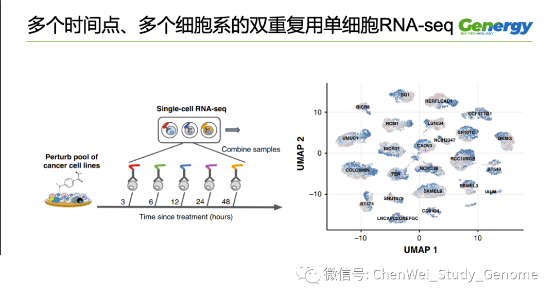 细胞疗理仪是什么原理_雾疗是什么