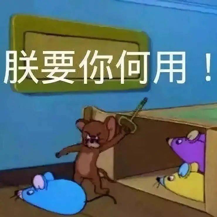 【沙雕猫表情包】猫和老鼠系列