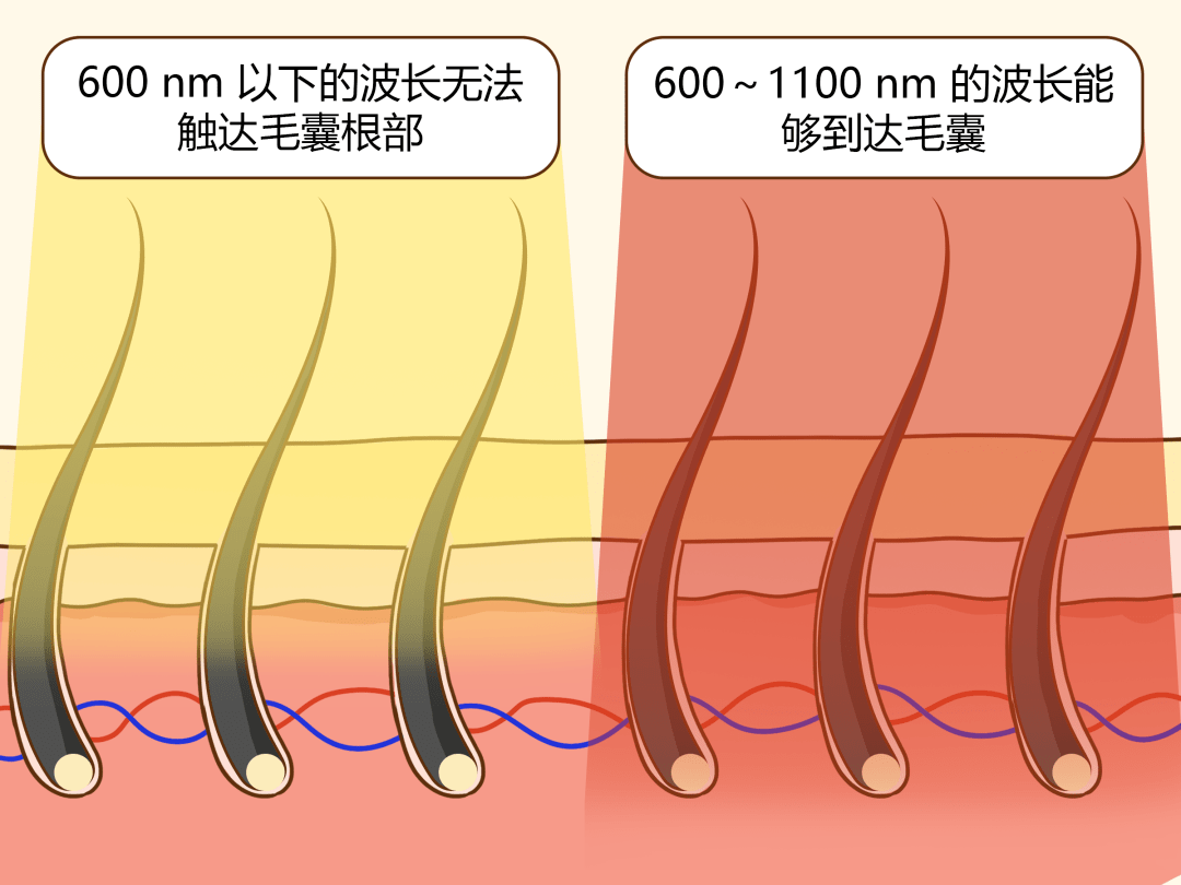 毛发|揭 秘 秋 冬 女 孩 「 身 体 の 小 心 机 」