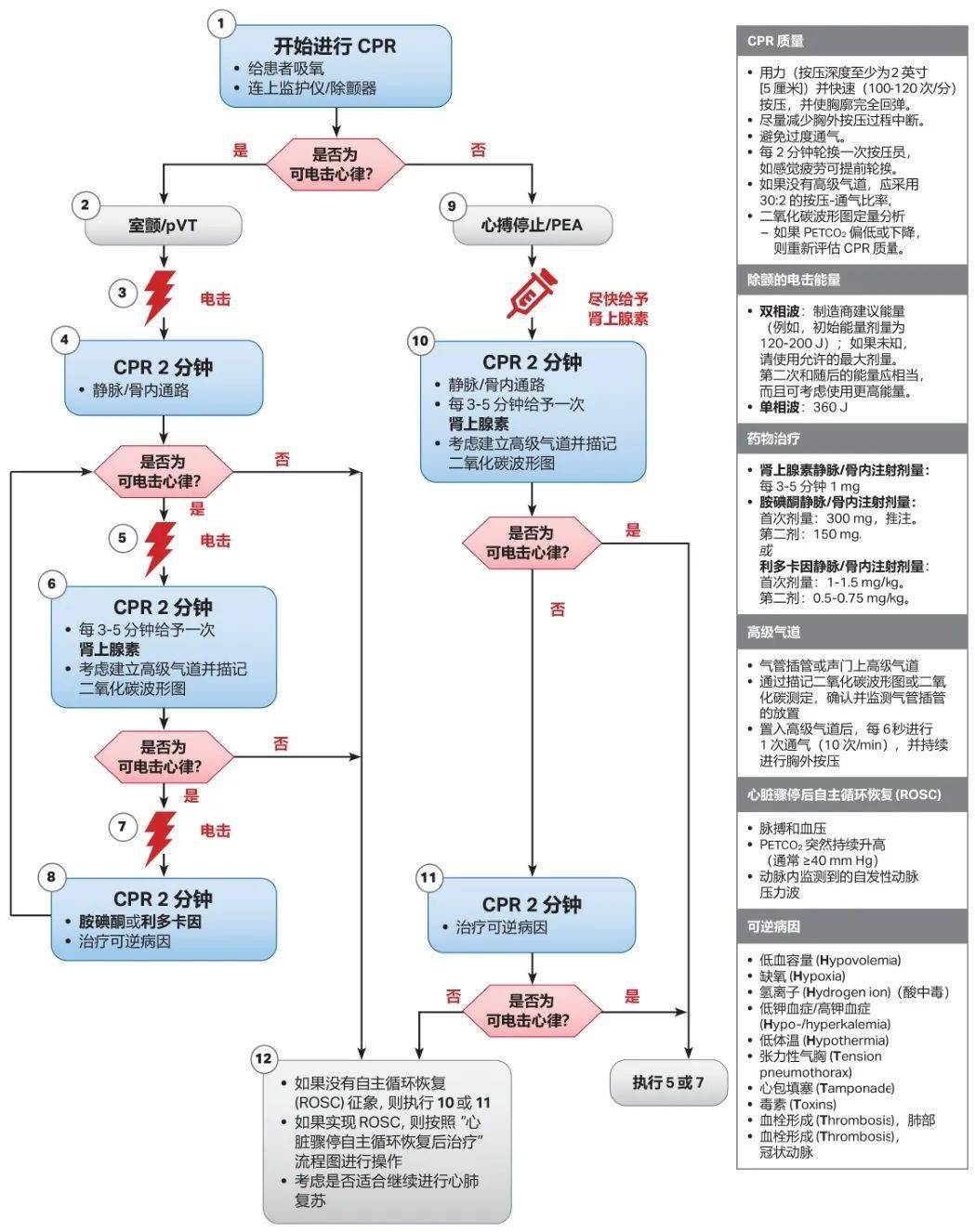 2020 aha心肺复苏和心血管急救指南更新要点来啦~干货多多!_流程图