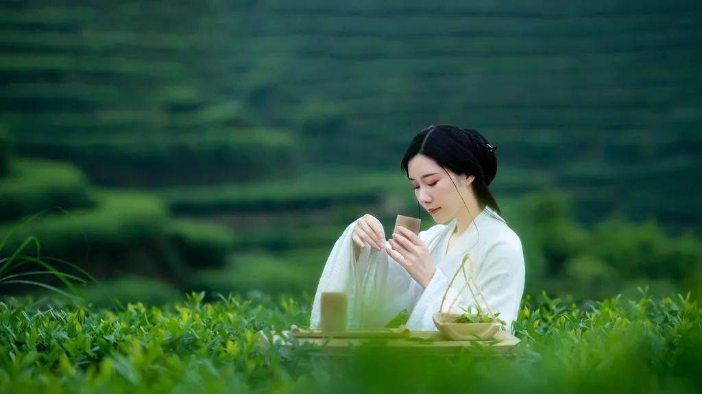 拉萨夜雨歌词曲谱简谱