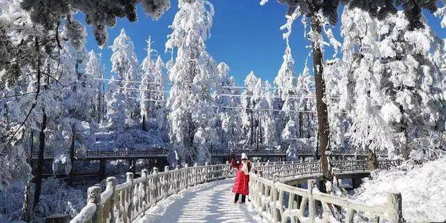 瓦屋山绝美雪景又来了! 一年一会的冰雪节来了!