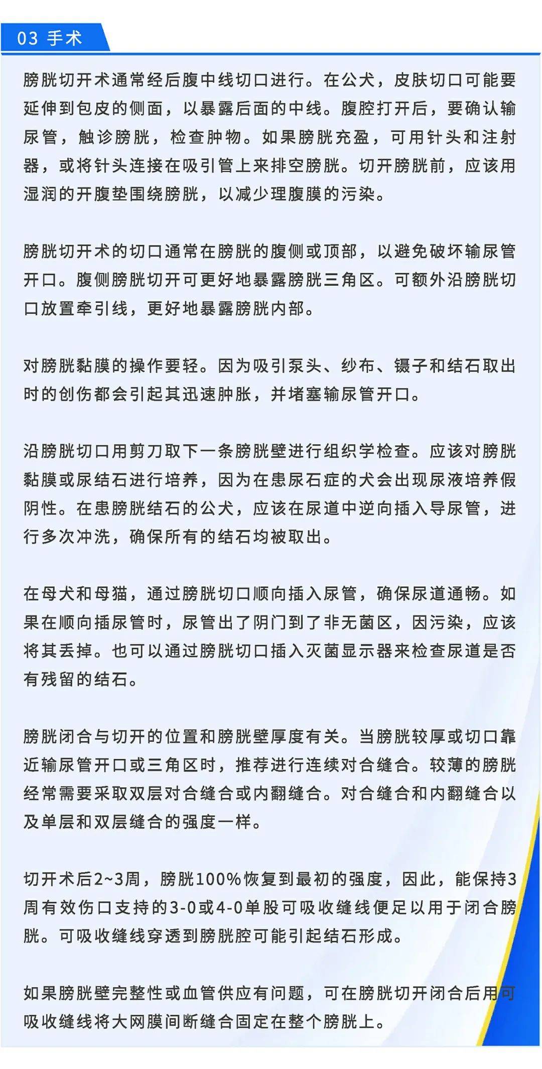 【图解】膀胱切开术,收藏转发防丢失