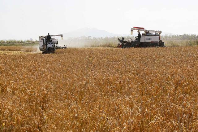 收割机价格预测 ba0a887b11944435ab610b21d1178c70.jpeg