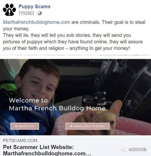 诈骗|电信诈骗，盯上了美国人