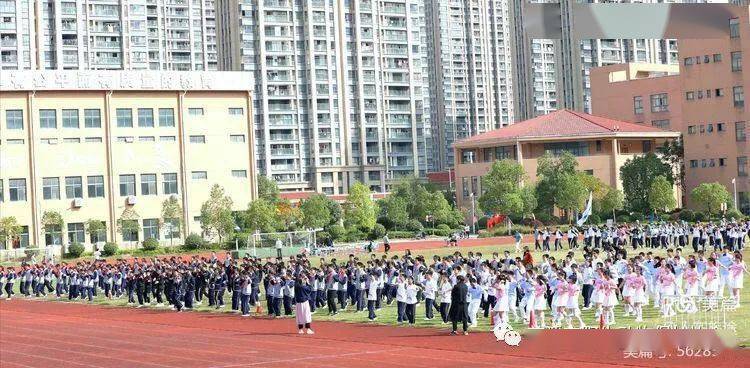 2020宁波杭州湾新区G_宁波杭州湾新区规划图(2)