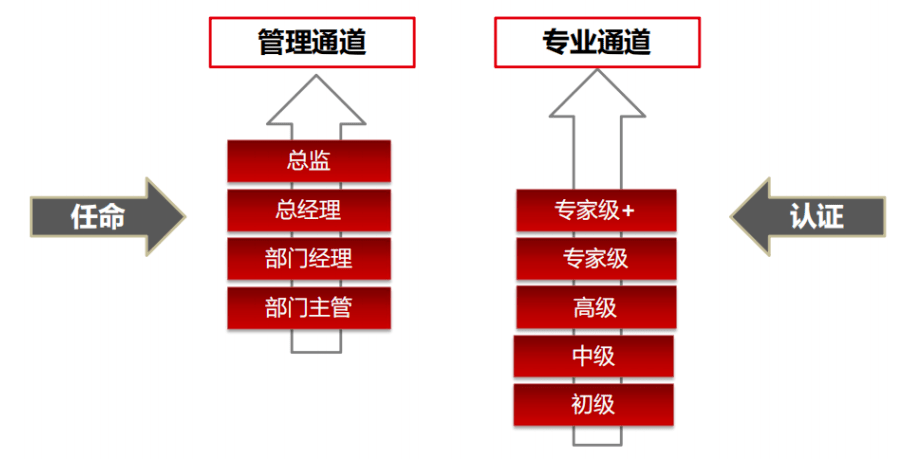 中国企业500强站GDP_2020中国新经济企业500强发展报告发布 呈现八大发展趋势(3)