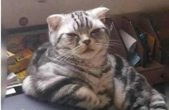 咋啦老弟 7ebe1b5b48044983a1b580784110db65.jpeg