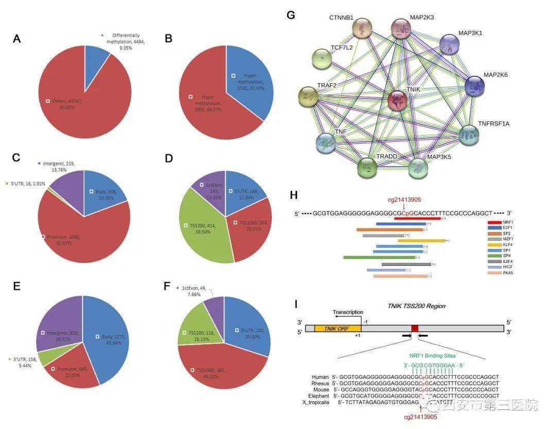 精神分裂症医院排名(2)