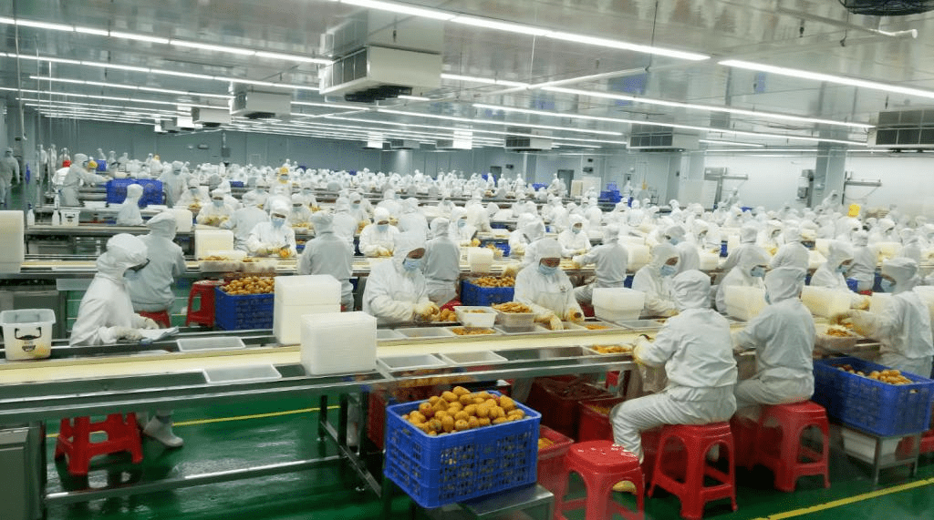 2020百色市9月GDP_百色市人民医院图片