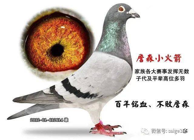 f401056b022c48fda5b144d299aa242a.jpeg
