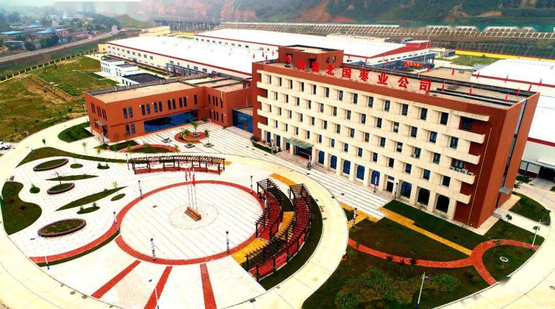 清涧:红枣产业在逆境中"突围"_清涧县
