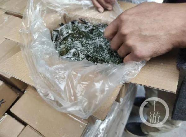 商家|掺盐充重的盐渍海带：5斤货中有1斤盐