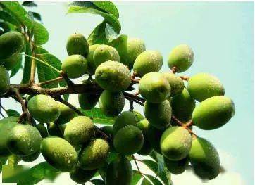 预售|200块也能化出百万化妆师同款底妆！3分钟让毛孔隐形，get粉嘟嘟的奶油肌！实在是太好看了~