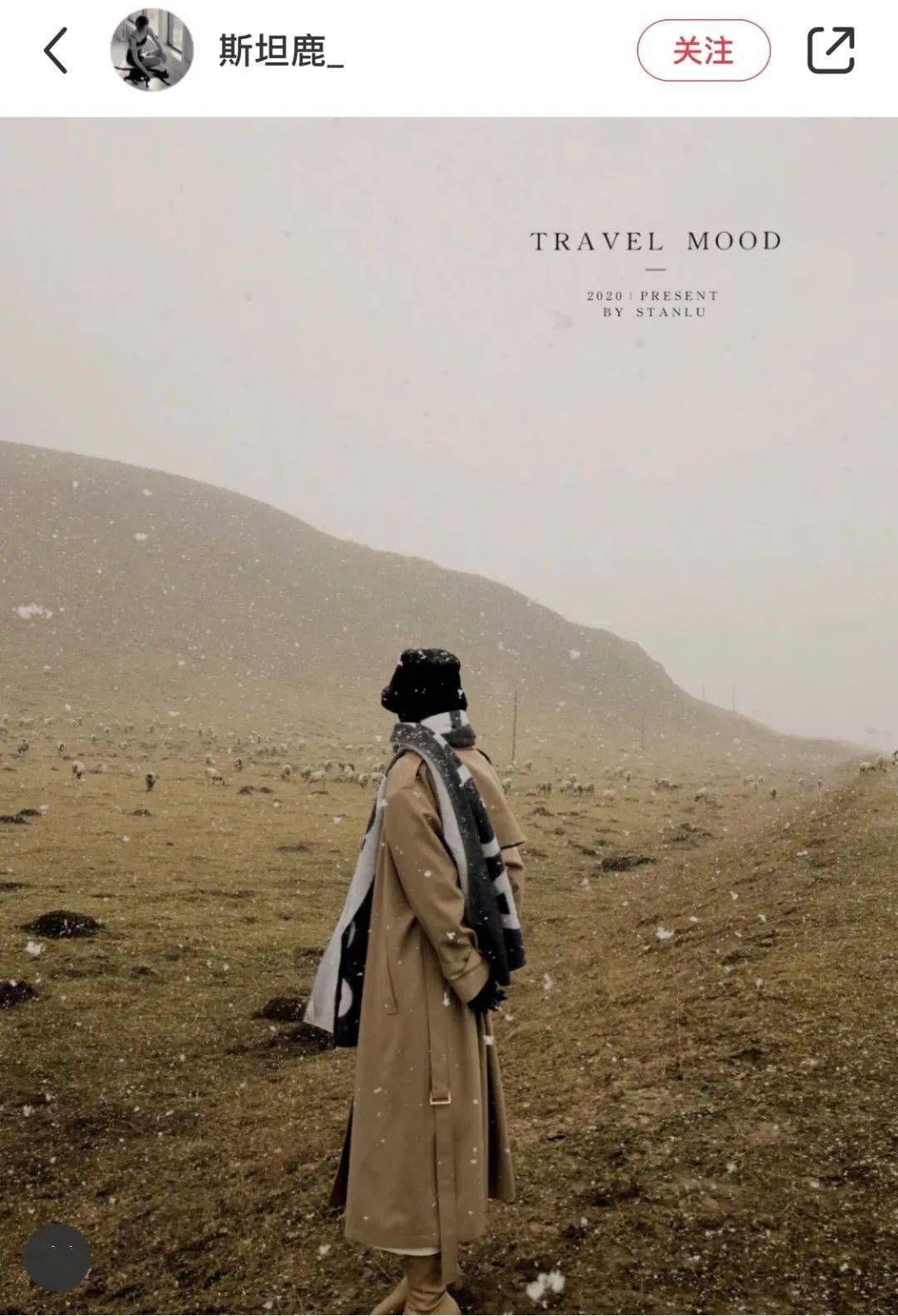 植物|熬夜新救星｜分享我最近的生活和近期在用的肌肤“吃素”法！