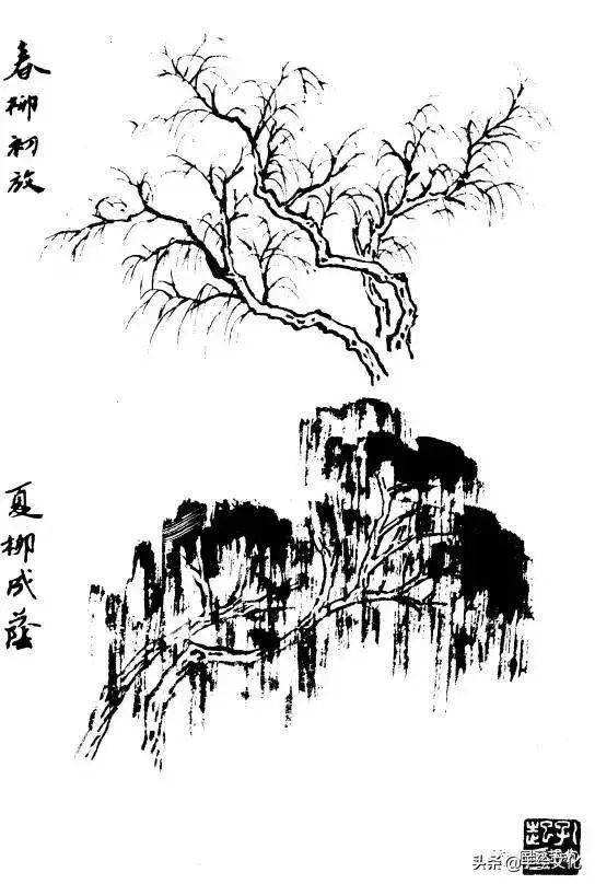 速写树曲谱_速写树(2)