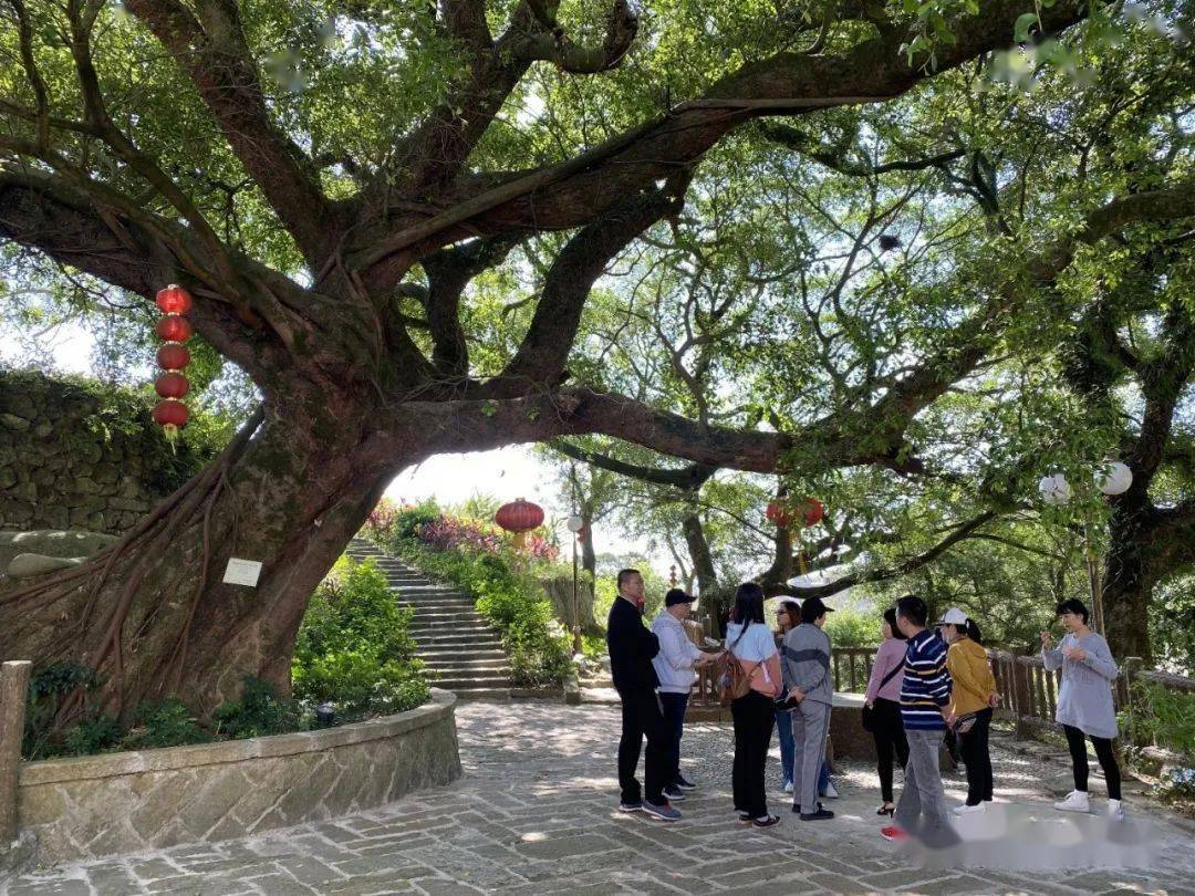 美丽乡村福清南岭镇大山村秋景如画