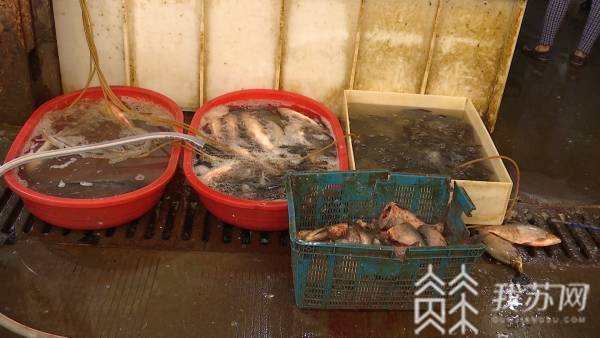 肉类|葱姜价格上涨，肉类水产品价格持续下行！