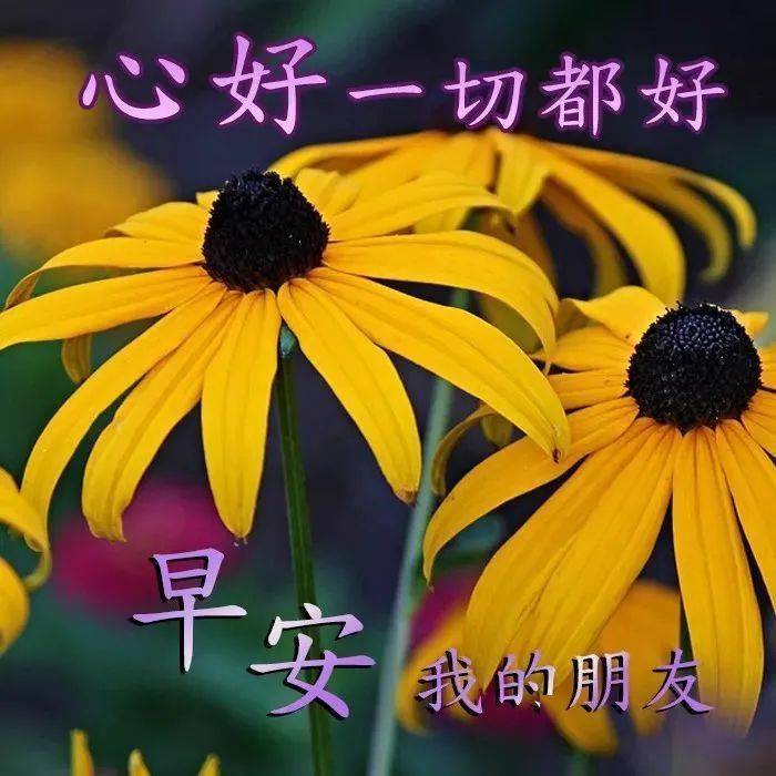 微信漂亮的早上好动态祝福表情,秋季新版早晨问候祝福