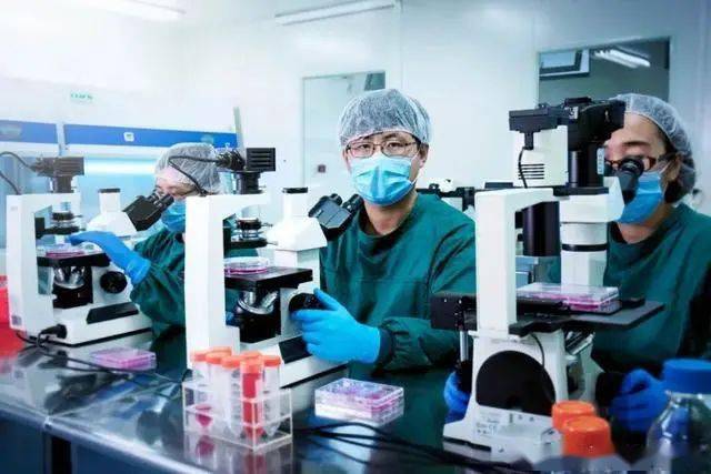 什么是基因转变技术 e292609684c84ed8bd8a2e512925f55f.jpeg