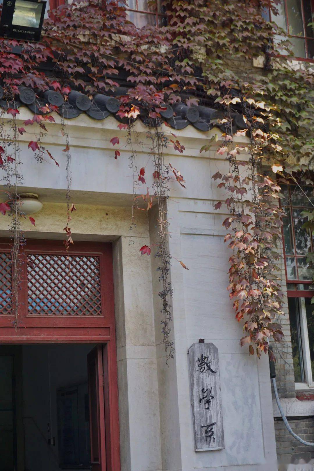 官宣|高校“官宣”秋景来了，有你的校园记忆吗？