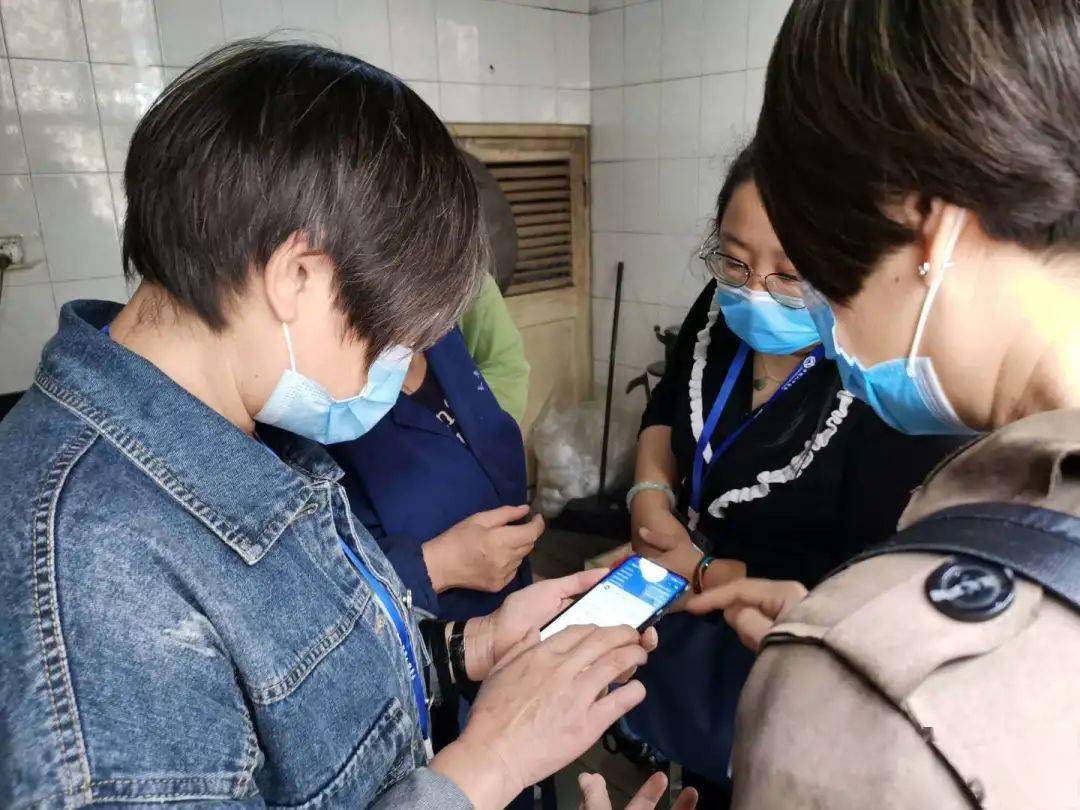 七次人口普查员手机要操作什么_等什么君