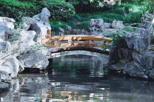 秋景大|高校秋景大赏丨想在春天种下一片色彩 在秋天送给你