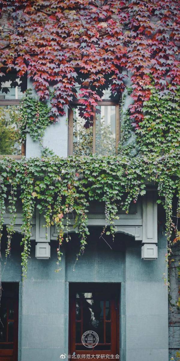 秋景大|高校秋景大赏丨想在春天种下一片色彩 在秋天送给你
