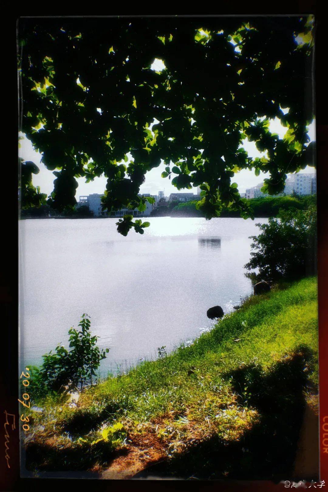 官宣|高校“官宣”秋景来了，有你的校园记忆吗？