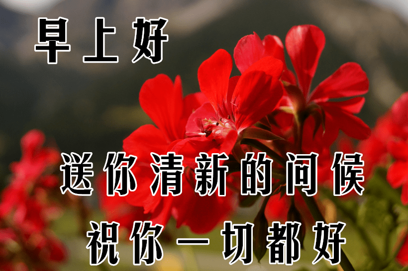 11月2日最漂亮动态表情图片大全