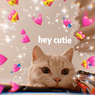 手拿着心放在猪身上猜成语_猪鞭长在猪身上的图片